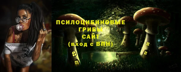 не бодяженный Алексин