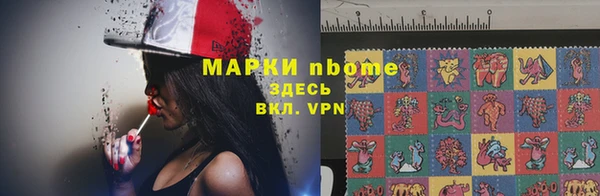 гашик Алзамай