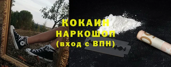 гашик Алзамай