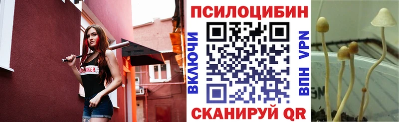 сколько стоит  Южно-Сахалинск  МЕГА ONION  Галлюциногенные грибы Cubensis 